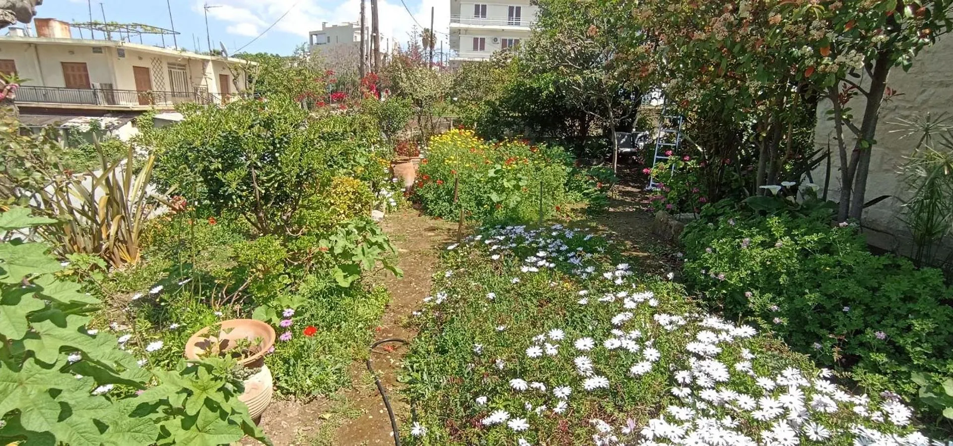 Stone House Into Amazing Garden Villa Chania  Holiday home Chania (Crete)