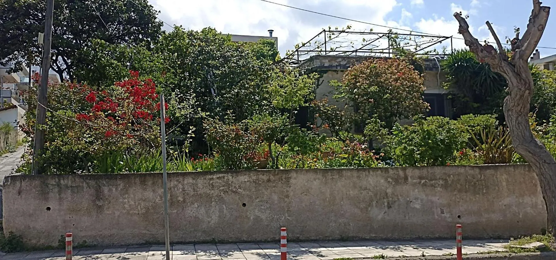 Villa Stone House Into Amazing Garden La Canea