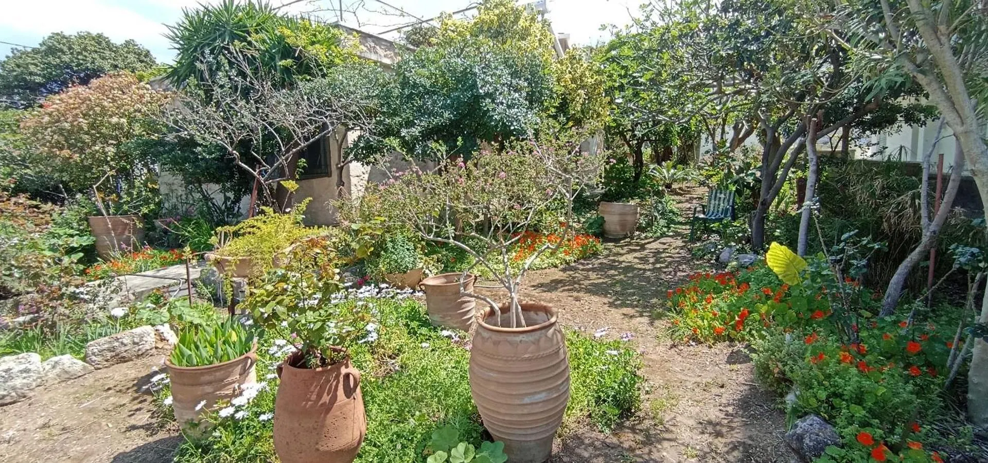 Feriehus Stone House Into Amazing Garden Villa Chania
